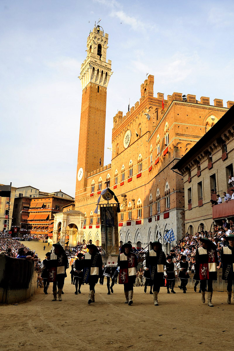 paliodisiena